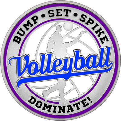 Royal Blue "Volleyball" with Purple Outer Circular Borders